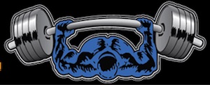 Critrical Bench logo 
