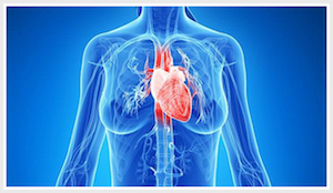 Obesity Heart in a Blue Body