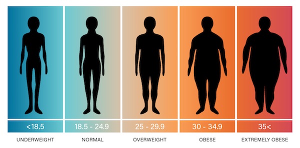 Obesity Stages