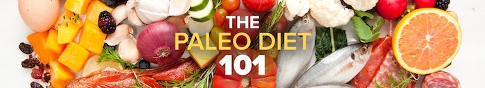 Paleo 101 wide banner