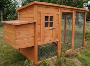Chicken Coop for the Eggs