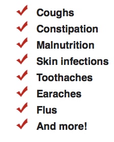 What Coconut can cure