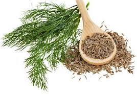 CUMIN leaf and ground