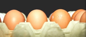 Eggs on a carboard tray
