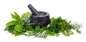 herbs - Pestle and Mortar