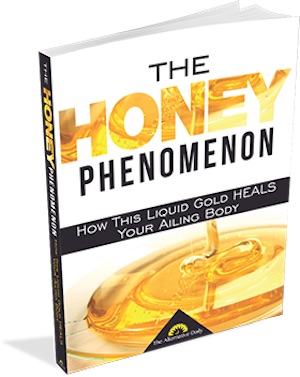 Honey phenomenon book
