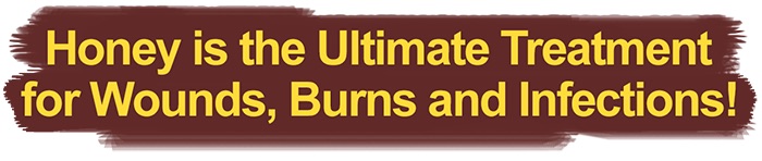 Wide Honey Banner