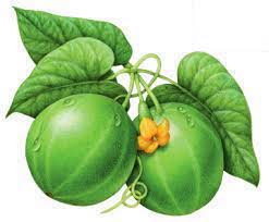 Monk Fruit
