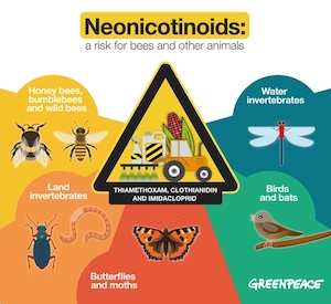 Nicotinoids threaten bees