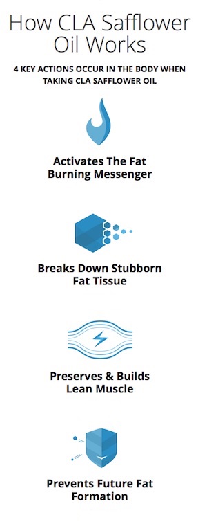 Safflower working vertical diagram